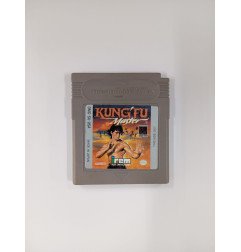 Kung Fu Master (Sin caja)