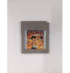 Kung Fu Master (Without Box)