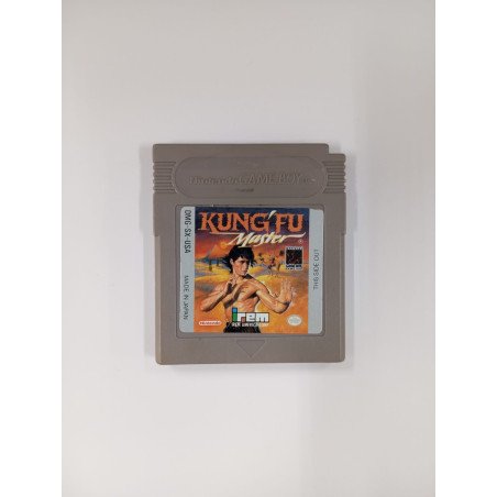 Kung Fu Master (Without Box)