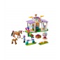 LEGO Friends 41746 Clase de equitación