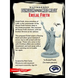 Dungeons & Dragons: Dungeon of the Mad Mage - Erelal Freth 3