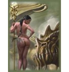 Max Protection Standard Size Deck Dragon Caller (50)
