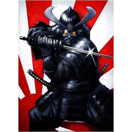 Max Protection Standard Size Deck Guards Nobunga (50)