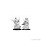 Dungeons & Dragons Nolzur’s Marvelous Miniatures Unpainted: Maga Dungeons & Dragons Nolzur’s Marvelous Miniatures Unpainted: Maga