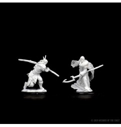 Dungeons & Dragons Nolzur’s Marvelous Miniatures Unpainted: Elf Male Druid