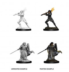 Dungeons & Dragons Nolzur’s Marvelous Miniatures Unpainted: Female Human Paladin