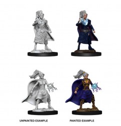 Dungeons & Dragons Nolzur’s Marvelous Miniatures Unpainted: Female Human Sorcerer