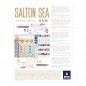 Devir Salton Sea - Board Game Devir Salton Sea - Board Game