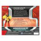 [ENGLISH] Pokémon TCG: Armarouge Ex Premium Collection