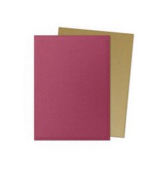 Dragon Shield Dual Matte Red/Gold Sleeves – Anniversary Edition (100 Sleeves) 2