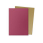 Dragon Shield Dual Matte Red/Gold Sleeves – Anniversary Edition (100 Sleeves) Dragon Shield Dual Matte Red/Gold Sleeves – Anniversary Edition (100 Sleeves)