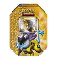 [ESPAÑOL] Pokémon TCG Raikou