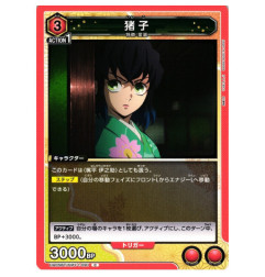 UA05BT/KMY-1-091 C 猪子